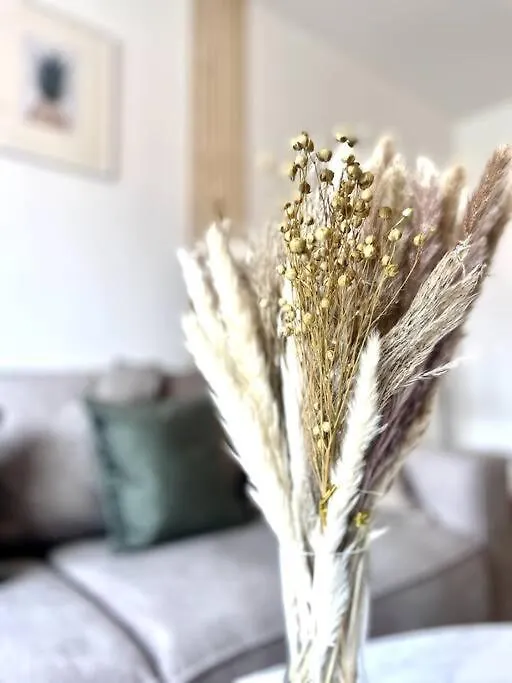 L'Instant Present - Calme & Elegant Proche Gare Apartment Roanne